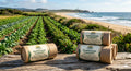 Sunwood Canopy Restorative Zinc Skin Balm cylinders displayed on driftwood with farm fields and California coastline in the background